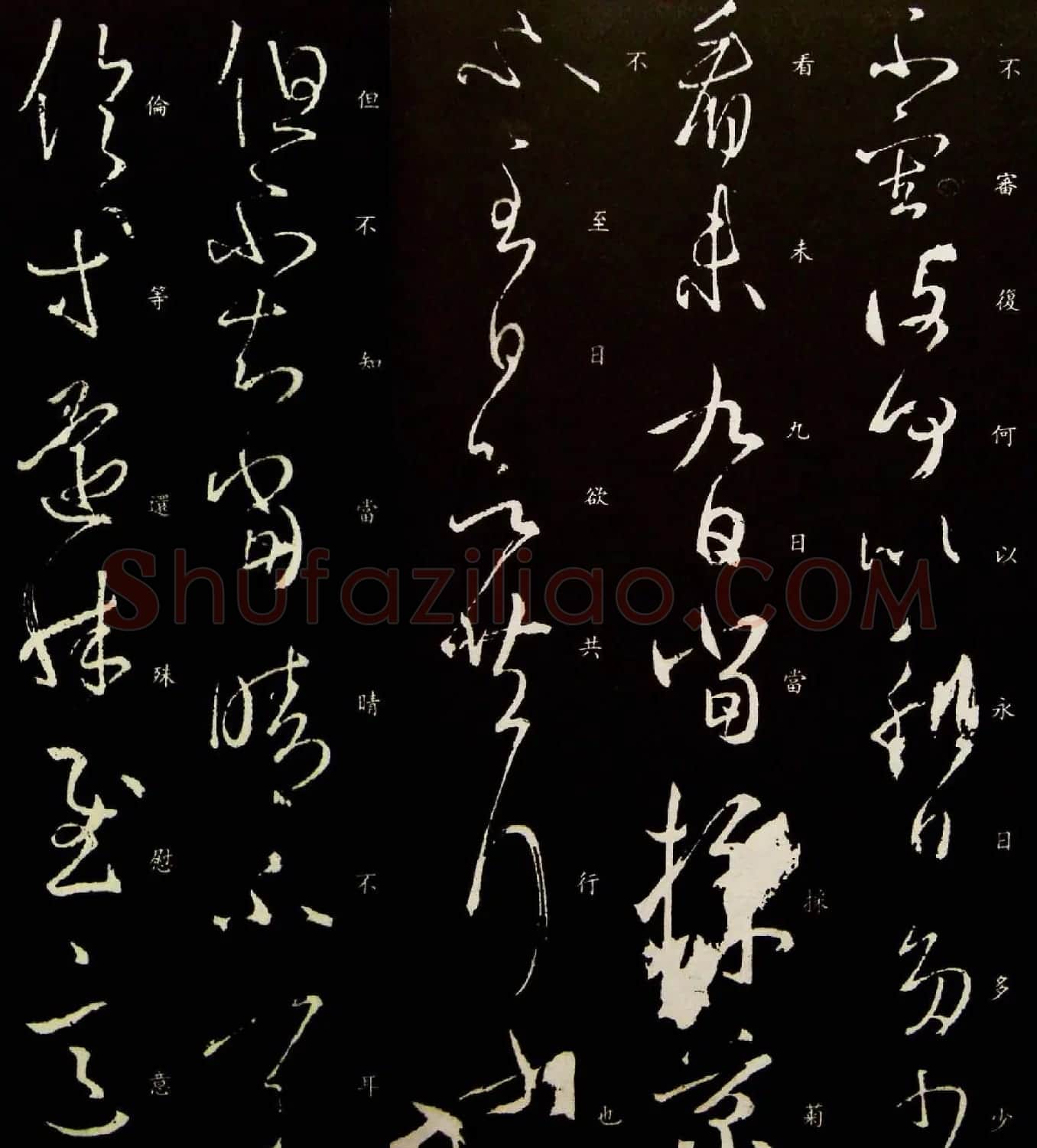 王羲之草书作品欣赏《采菊帖》四种 | 名家书法作品赏析