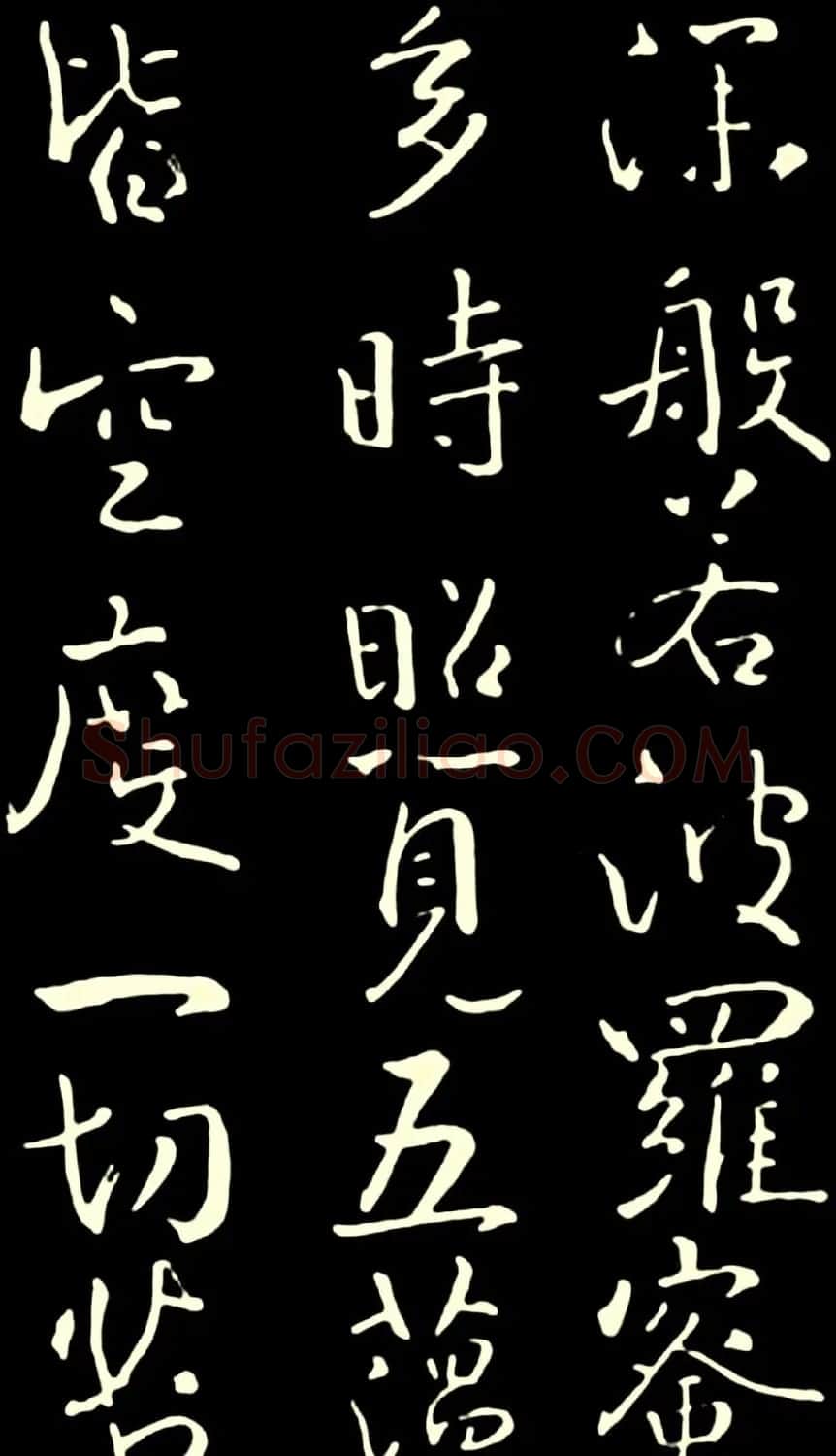 池无名书法《大雅行书般若心经》 | 书法心经全文