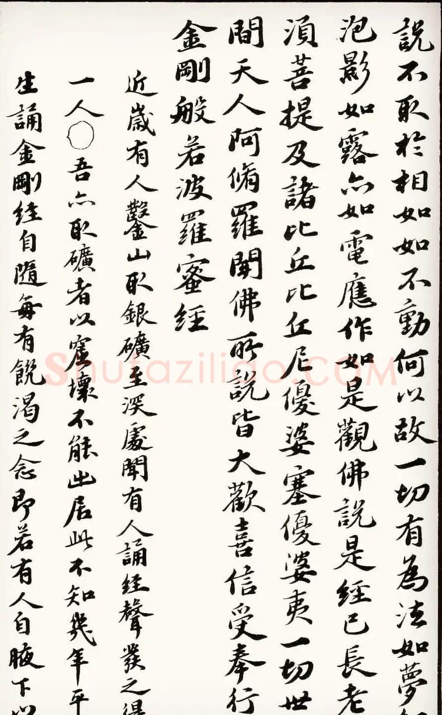 苏轼行楷书法欣赏《金刚经》全本 | 毛笔书法作品