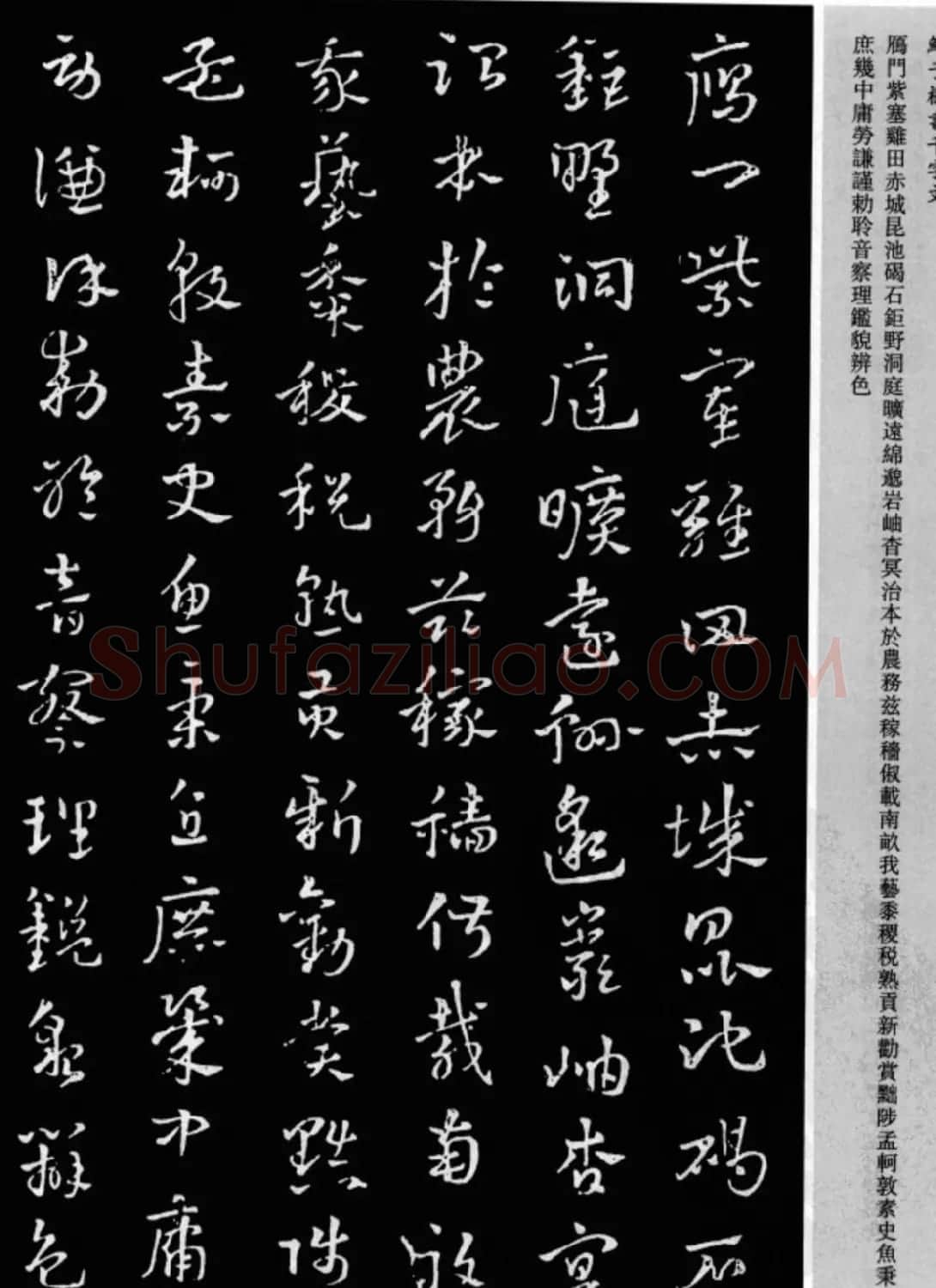 鲜于枢章草书法欣赏《千字文》大图 | 软笔草书字帖