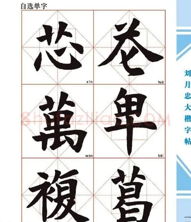 《刘月忠大楷字帖》三方格练字本 | 软笔楷书字帖