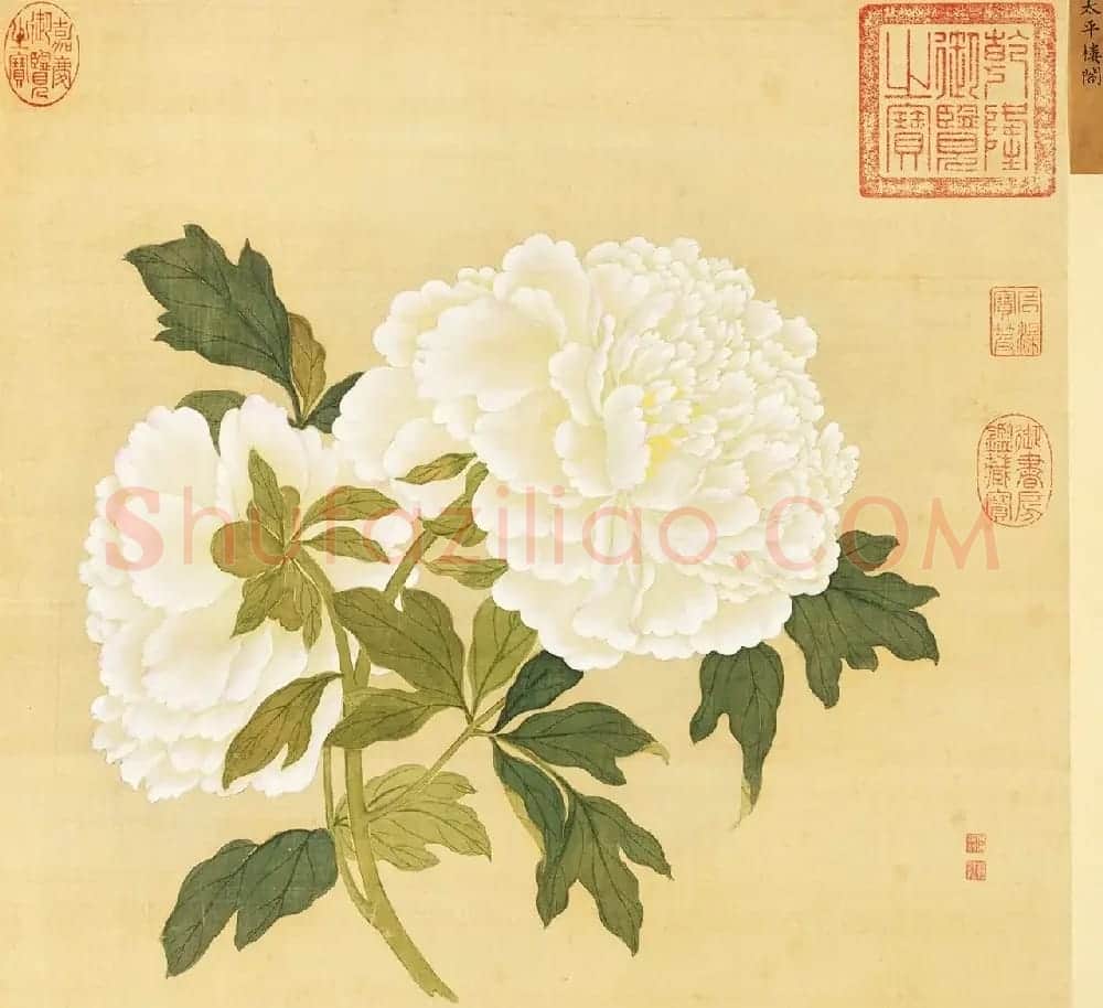 宫廷书法家戴临行书《题蒋廷锡牡丹谱》 | 传世书法作品欣赏