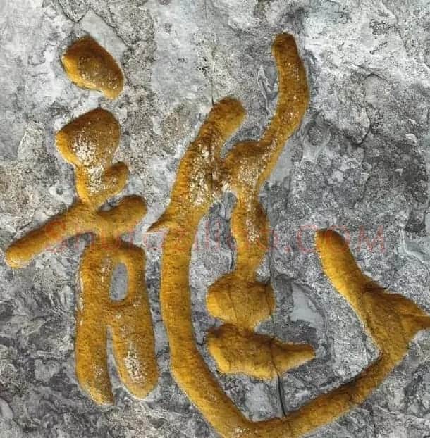 龙字书法写法大全 | 书法名家作品欣赏