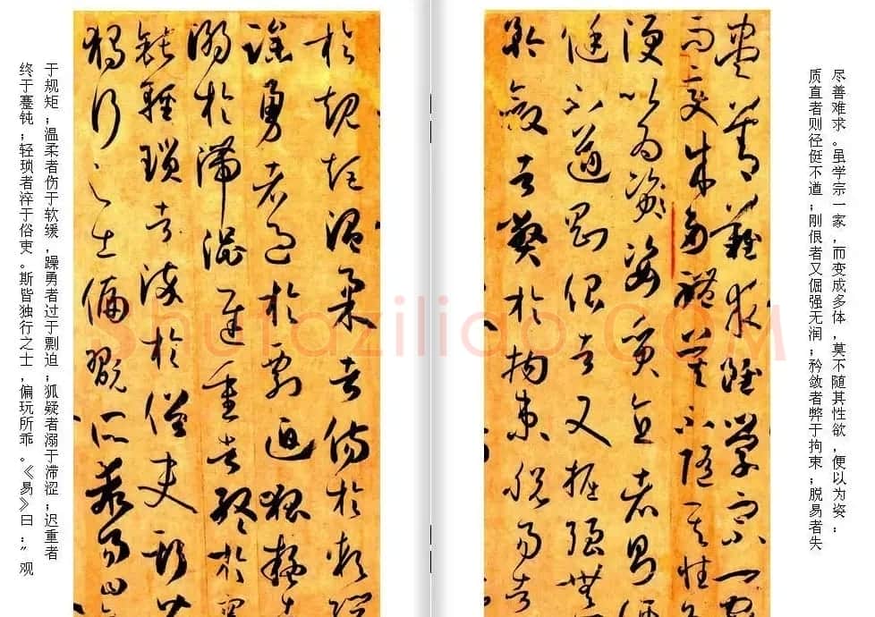 高清草书范本 孙过庭《书谱》全文今译 | 软笔草书字帖