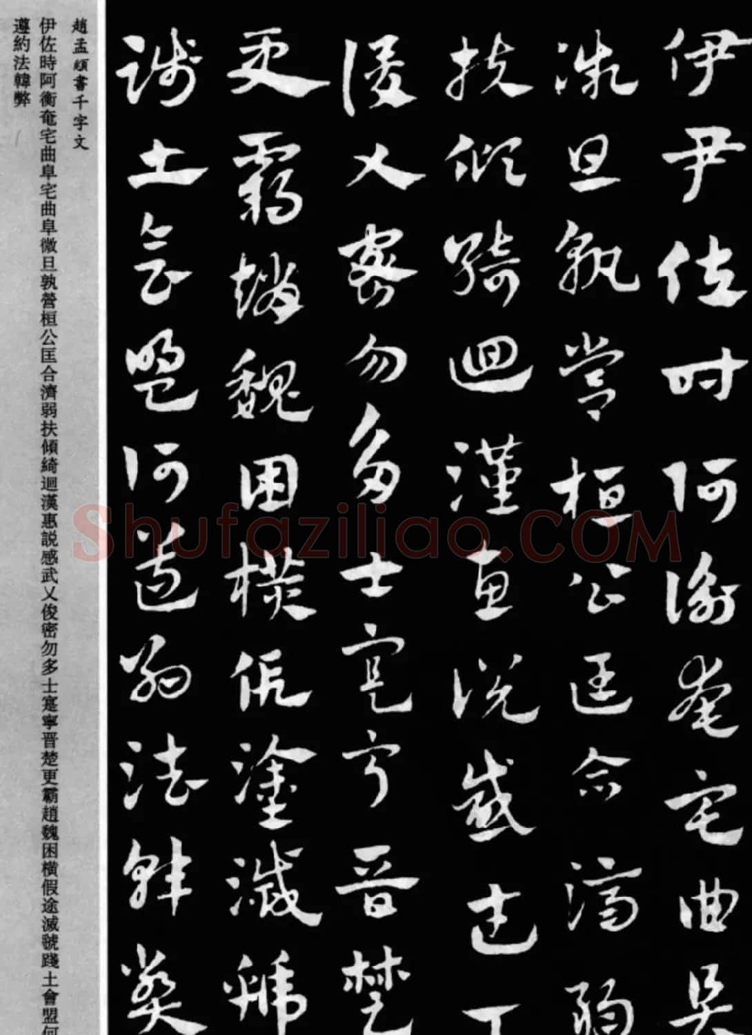 赵孟頫书法章草千字文(附释文)图片17P | 软笔草书字帖