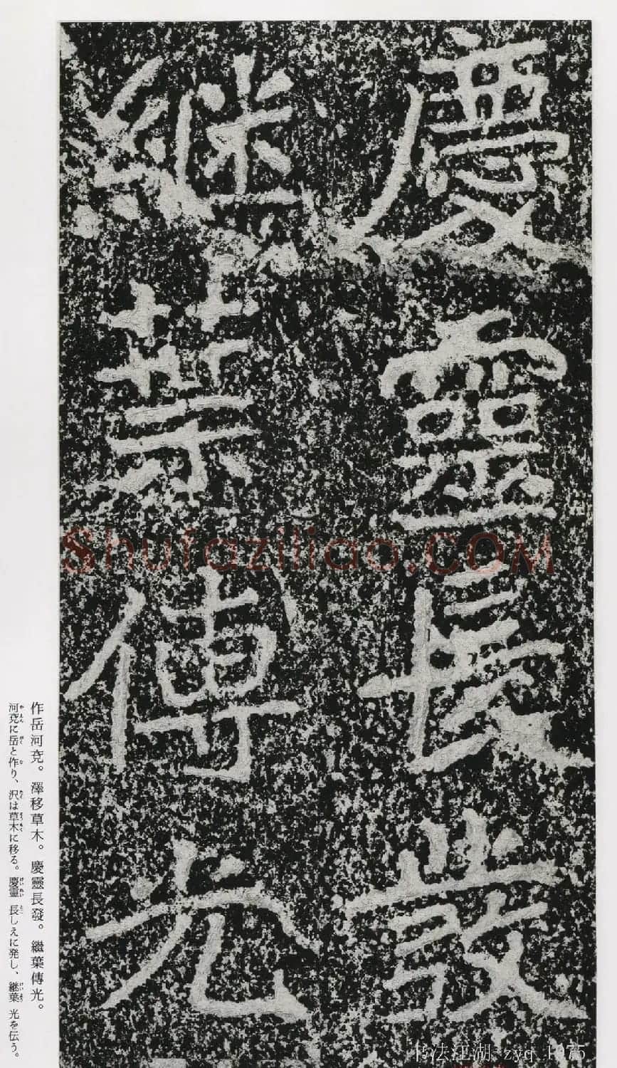 北魏郑道昭楷书《郑羲下碑》二玄社版 | 书法碑帖
