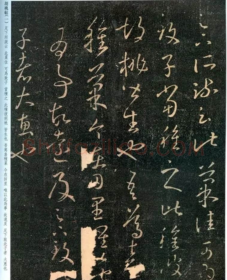 晋代王羲之草书欣赏《胡桃帖》两种 | 书法名家作品鉴赏