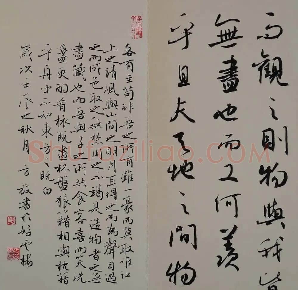 方放书法作品欣赏《苏轼赤壁赋》 | 书法作品欣赏