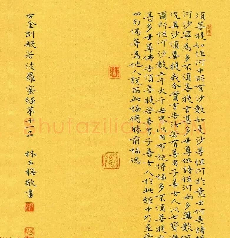 漳州市女书法家林玉梅小楷金刚经 | 书法作品赏析