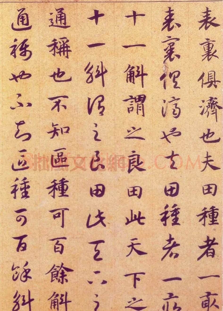宋高宗赵构真草书法欣赏《嵇康养生论卷》 | 书法长卷
