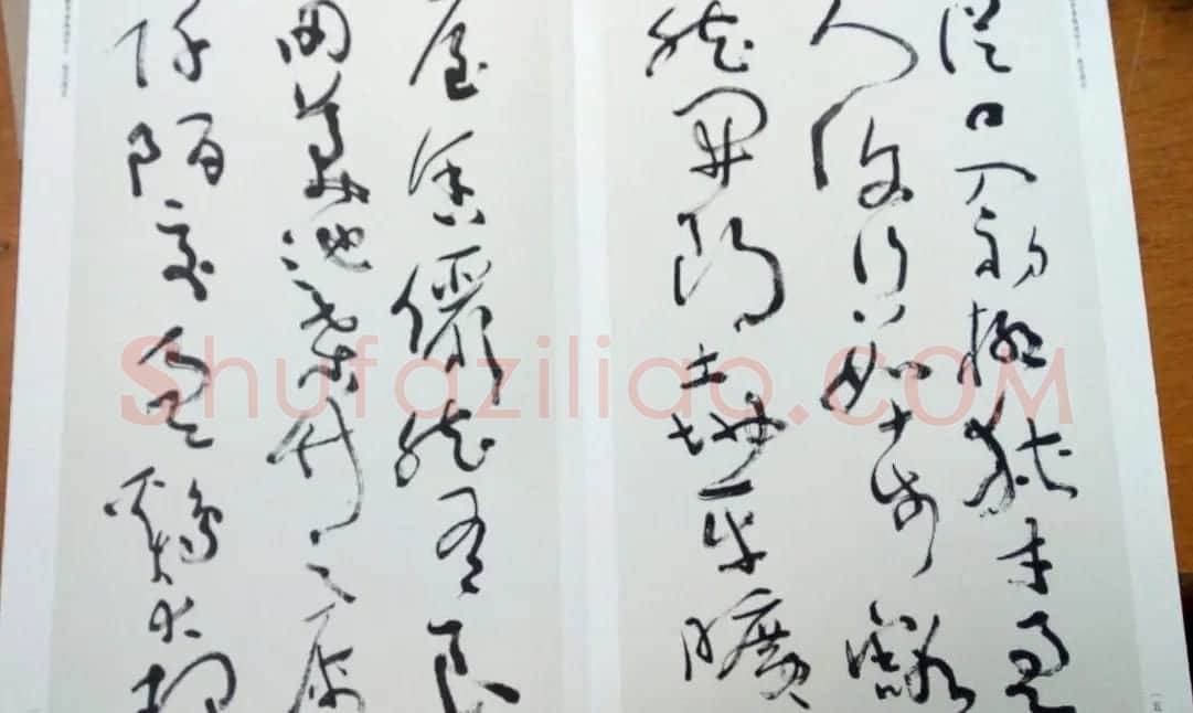 沈鹏草书欣赏《桃花源记》 | 书法作品赏析