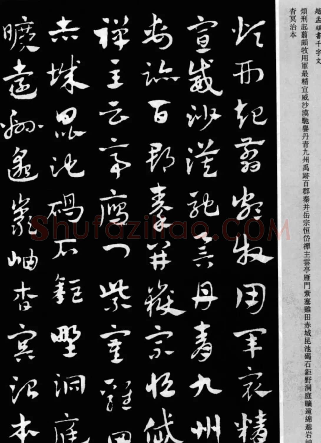 赵孟頫书法章草千字文(附释文)图片17P | 软笔草书字帖