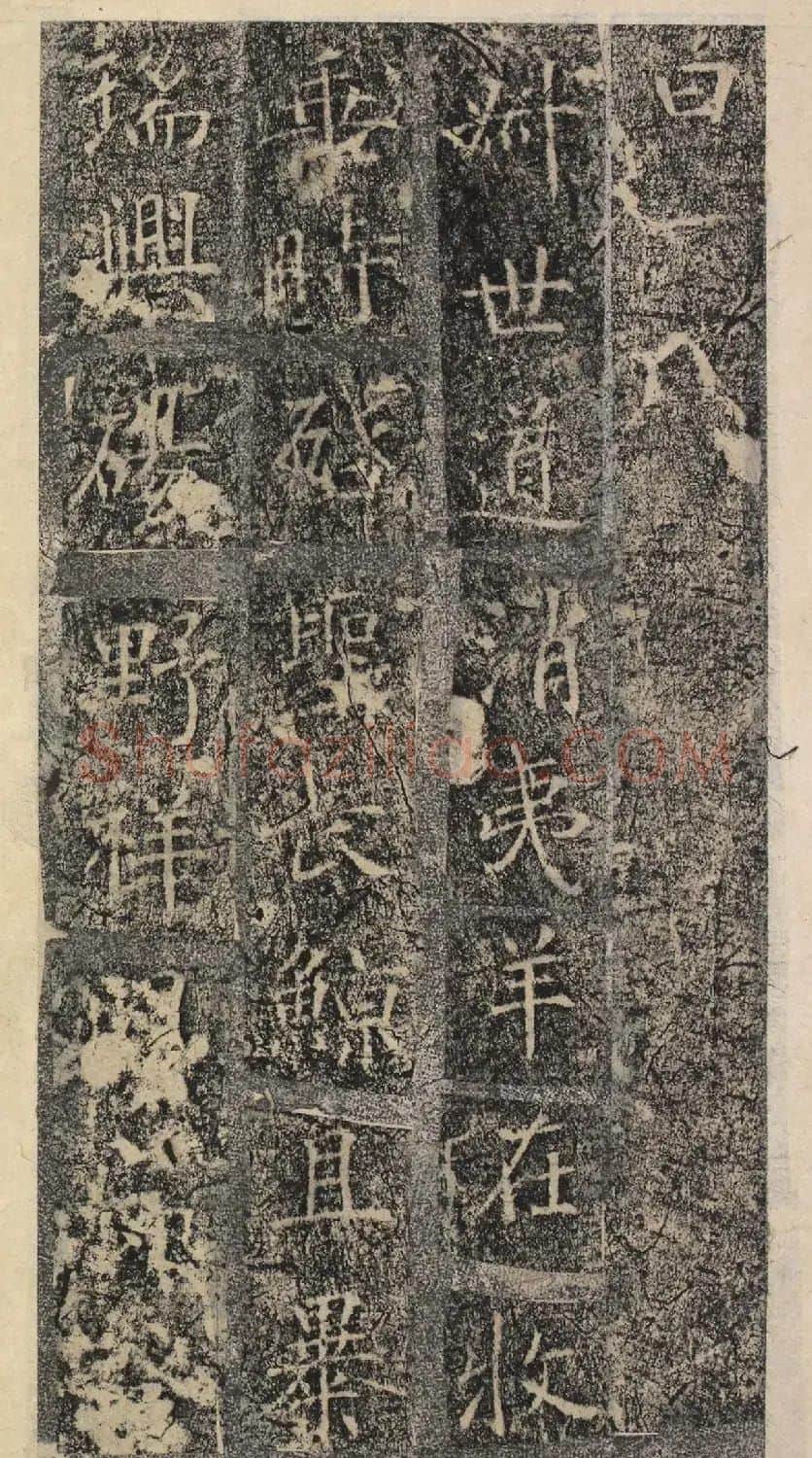 唐代褚遂良书《樊兴碑》精本 | 书法碑帖