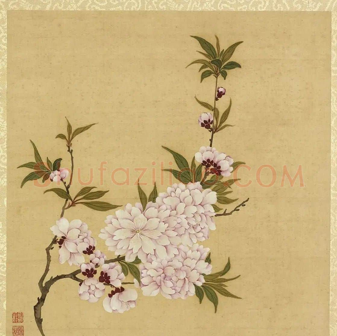 梁诗正书宝亲王题邹一桂花卉册 | 传世书法作品赏析
