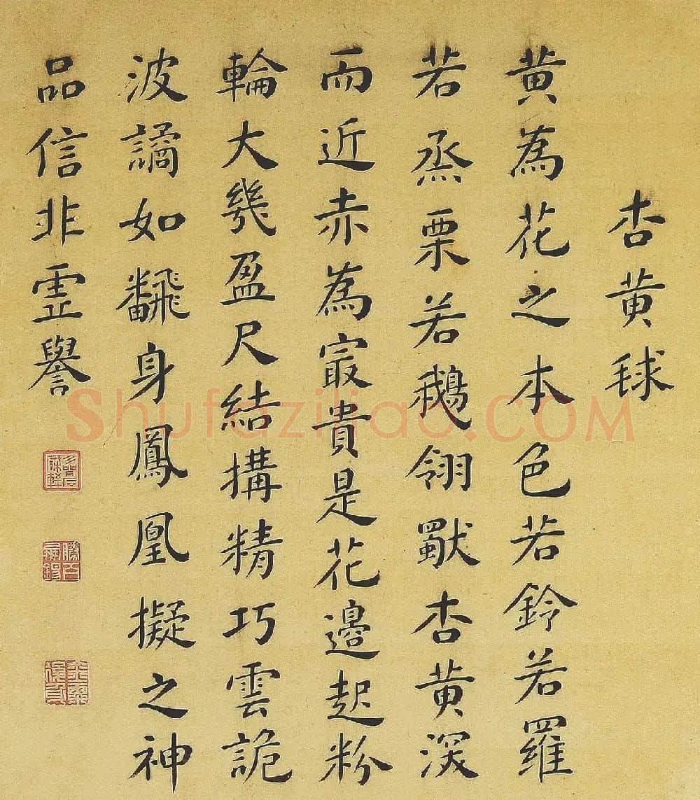 清代书法家湛畗书《菊谱》册页 | 传世书法作品精选