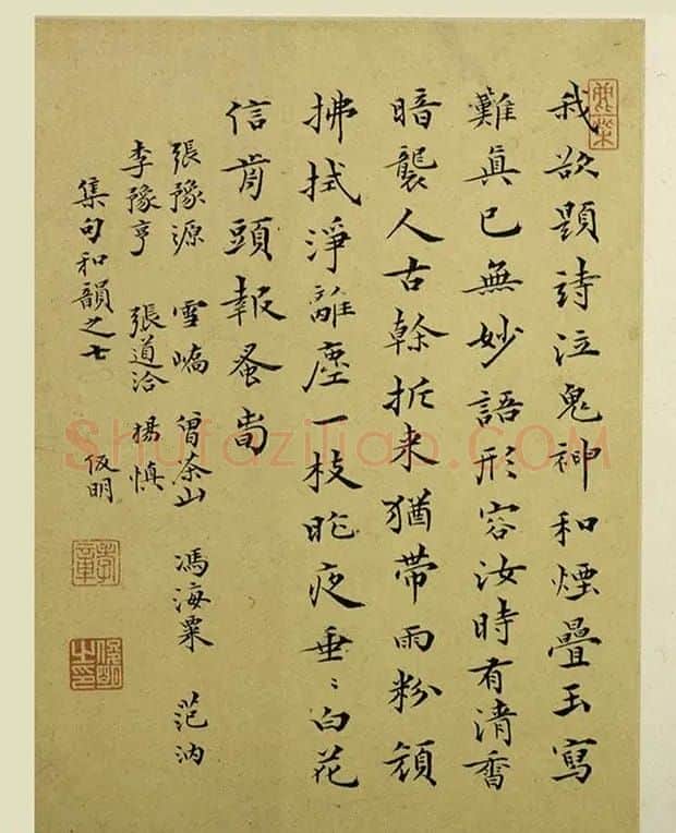 清代金俊明书画欣赏《梅花图册》 | 传世书法作品鉴赏