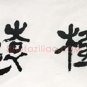 陈初生书法作品欣赏
