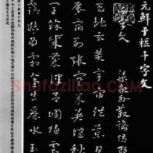 鲜于枢章草书法欣赏《千字文》大图
