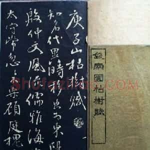 兰新家传书法碑帖分享《钱南园枯树赋》