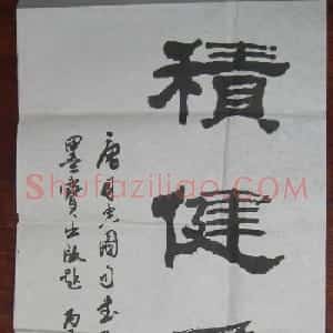 沙舟书法题字：积健为雄