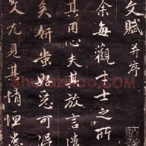 赵孟頫行书欣赏《文赋》