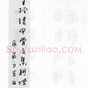 王经纬甲骨文集联增补六十六例