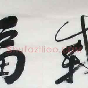 张一凡书法作品欣赏