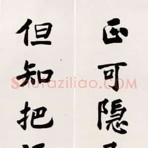 近现代 沈尹默楷书《正可但知七言联》