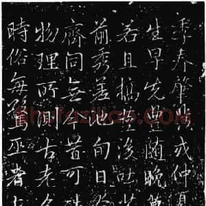 唐代 唐代 行书《娑罗树碑》