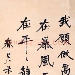 近现代 萧娴行书《行书录雷锋日记轴》