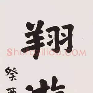 近现代 游寿行书《行书翔游南天》