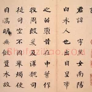 清代 何绍基楷书《临张黑女墓志》