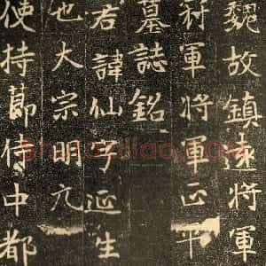 前秦北朝 魏碑元仙墓志