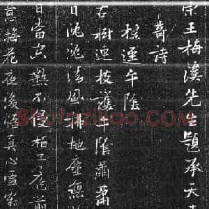 明代张瑞图行楷书法欣赏《承天寺诗碑》