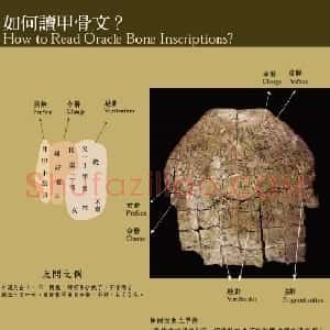 甲骨文小百科