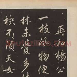 元代 赵孟頫行书《行书苏轼梅花十绝》