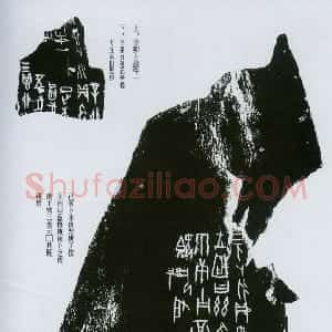 先秦 甲骨文拓片及其释文2