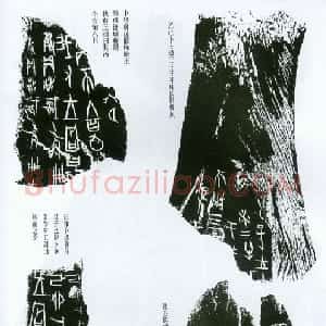 先秦 甲骨文拓片及其释文9