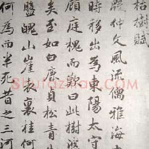 元代 赵孟頫行书《临褚遂良枯树赋》