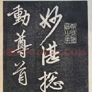 元代书坛领袖赵孟頫行书欣赏《楞严经》