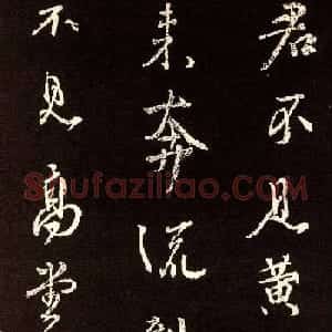 颜真卿行书欣赏《将进酒》集字版
