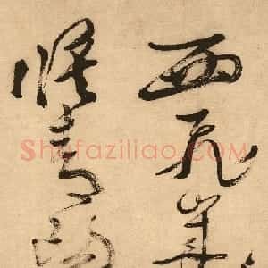 徐渭草书欣赏《自赋白燕诗卷》