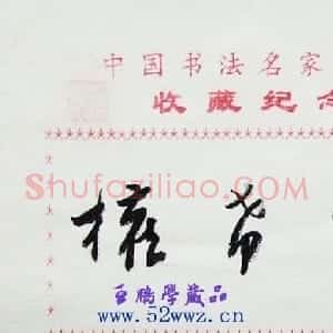 权希军毛笔书法签名欣赏