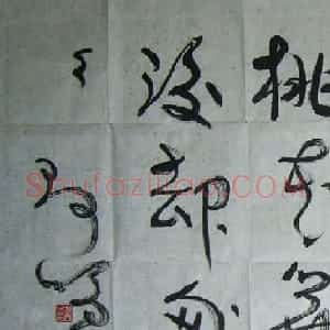 张鑫书法草书作品欣赏