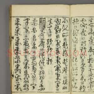 金代 张天锡草书《草书韵会》