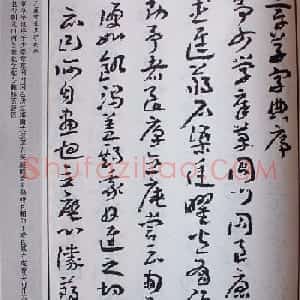 王蘧常草书欣赏《章草字典序》