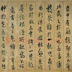 明代 王铎行书《枯兰复花图卷》