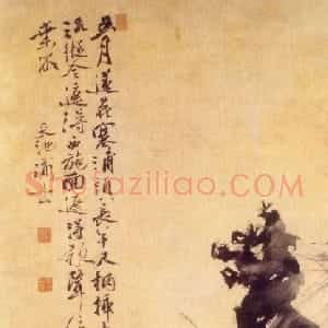 明代 徐渭行书《五月莲花图》
