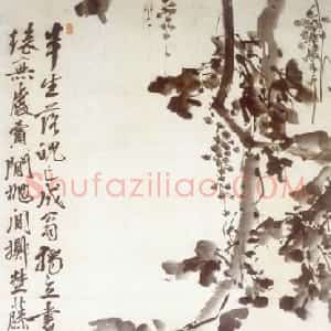 明代 徐渭行书《墨葡萄轴》