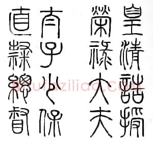 清代 郭尚先篆书《温公墓志铭册》